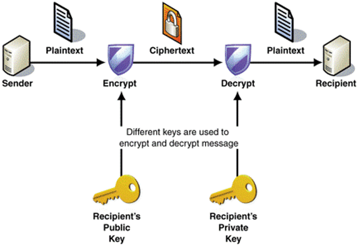 ransomware