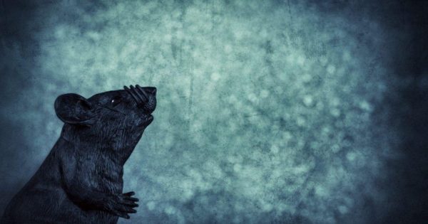 remote access trojan